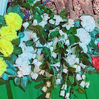 Shivanshi shorts  profile image