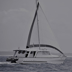 Motor Sailing for Old Dudes net worth