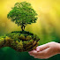 XDeXI4Y0Va8-channel-avatar-Nature247