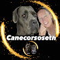 canecorsoseth