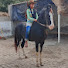 awOcGiyvhmU-channel-avatar-Animals ki Duniya