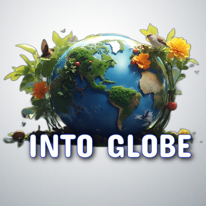 Into Globe icon