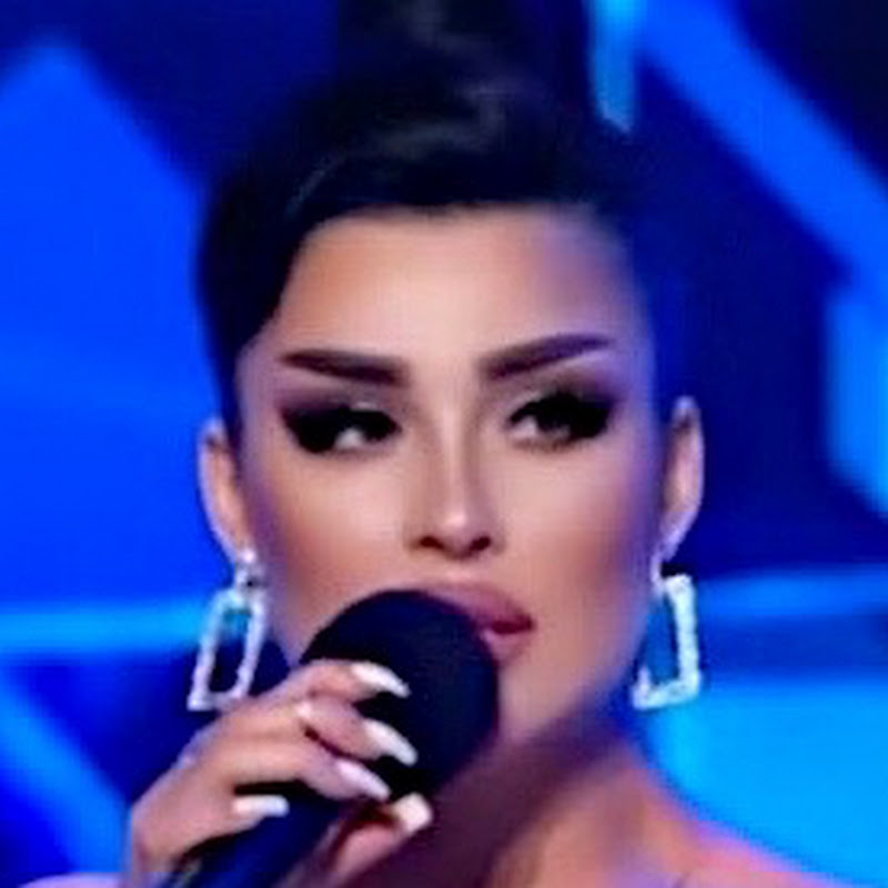 Valentina Timoshyk Logo