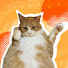 PeEBZV9eexk-channel-avatar-MC Casimir