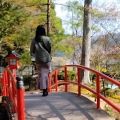 yuri / kyoto vlog&walk