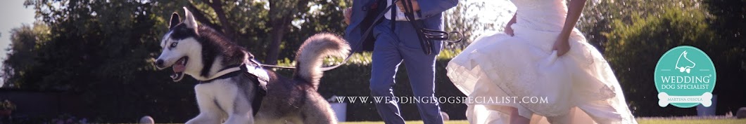 Wedding Dog Specialist Avatar de canal de YouTube