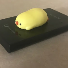 踝猫背のチャンネル