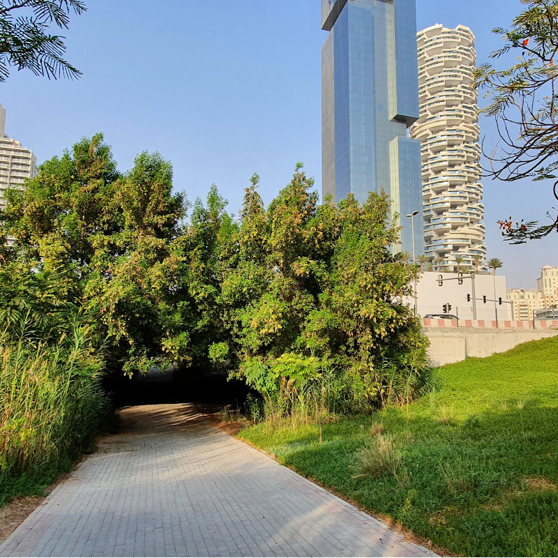 Sightseeing & Driving Around