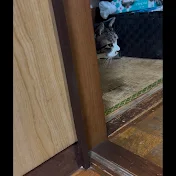ふとももしぇりしぇり