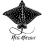 Neco Marine Diving Palau logo