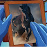 aoKgrSm1fr8-channel-avatar-BimbeDelloStallone