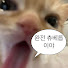 Q3wnxPZR0DY-channel-avatar-냠뇽이