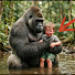yHEFtixcay4-channel-avatar-Gentle Primate Tales