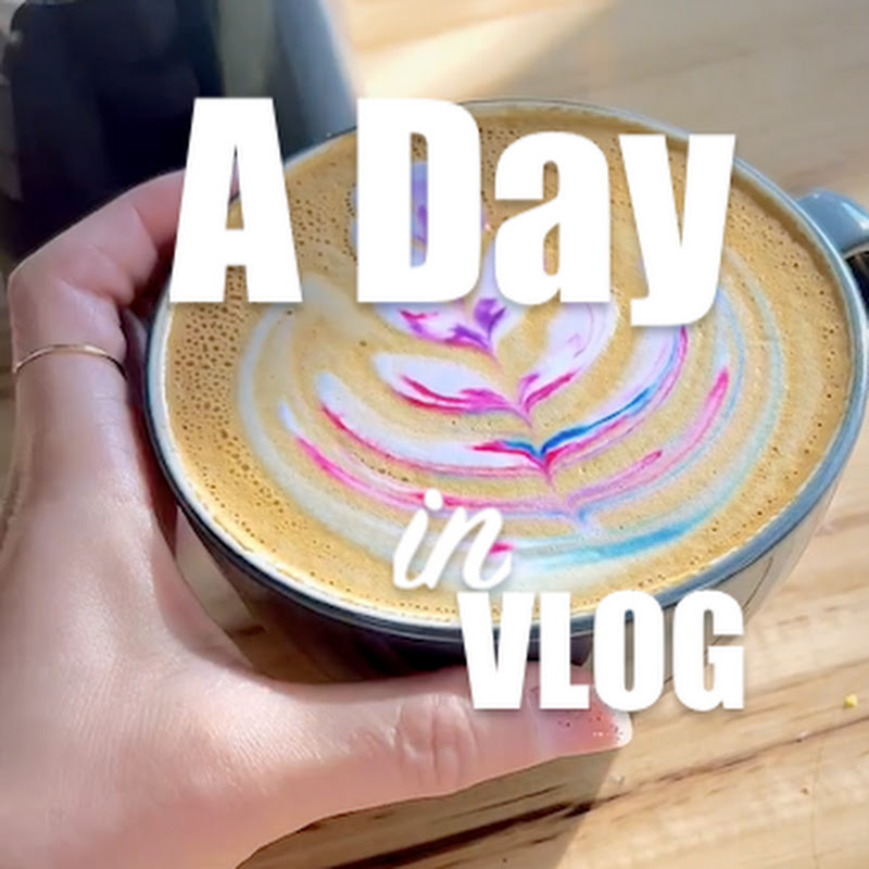 A Day in VLOG