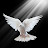 @lightinme217's avatar