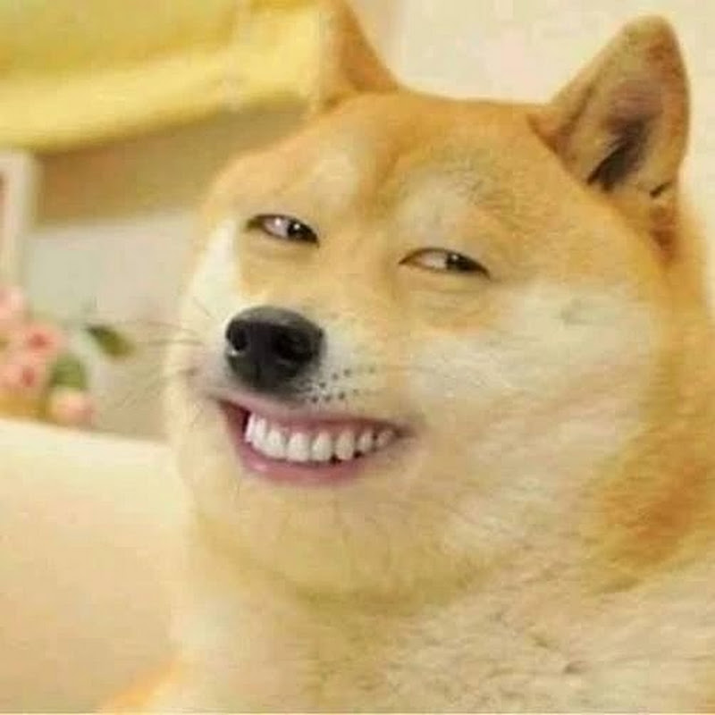 Hire Dogesh_bhai — Animal Behavior Studies YouTube creator for sponsorships