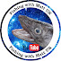 pmBgdqp6fSA-channel-avatar-Fishing with Matt