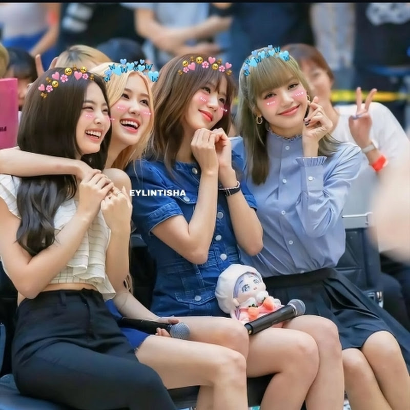 BP • REELS CREATOR 