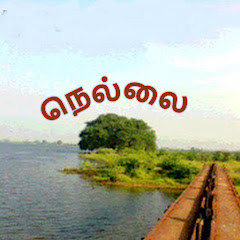 NELLAI BULLS DIVIDEND SHARES