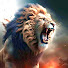 5uD2T49rNMw-channel-avatar-India Travels