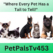 PetPalsTV453