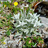 lWEiOrKL4M4-channel-avatar-La Gaggiola Delle Dolomiti