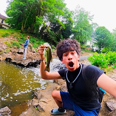 BASSIN PRODIGY