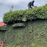 0gBscTucoxo-channel-avatar-Clean up Mowing sawing trees