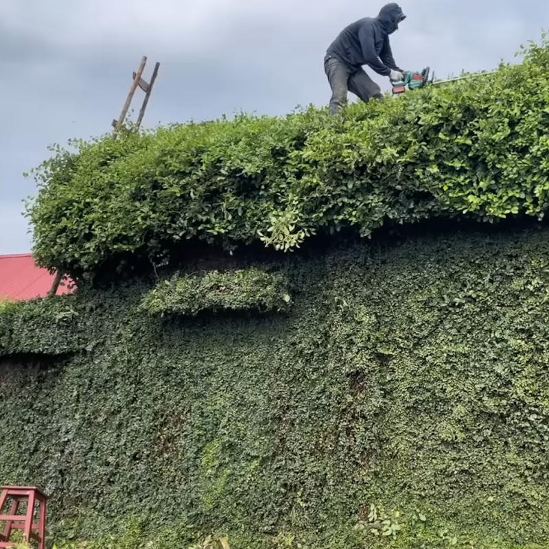 Clean up Mowing sawing trees Logo