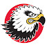 CC9fUNt9Y1o-channel-avatar-Storvreta IBK