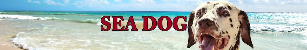 Sea Dog Awatar kanału YouTube
