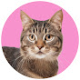 3d TV for Cats Avatar