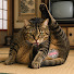 gqU4Nils4mk-channel-avatar-ボス猫と仲間たち