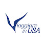 Viaggiare in USA logo