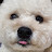 @soet1004