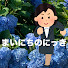 2a5sgvmHC1M-channel-avatar-まいにちのにっき