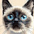 @yarab-2025-fg8