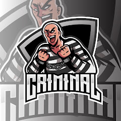 Desi Crime Simulator 