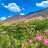 @khangvillagelifestyle