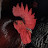 @roundaddy8609 Avatar