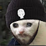 Fh5TYc5DuMk-channel-avatar-Charmx Archive