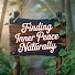 mKR6L5jHug8-channel-avatar-Eternal Wisdom Talks