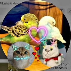 Fantastic Four Friends