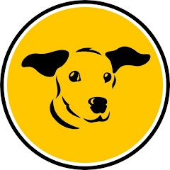 Dogs Trust Ireland