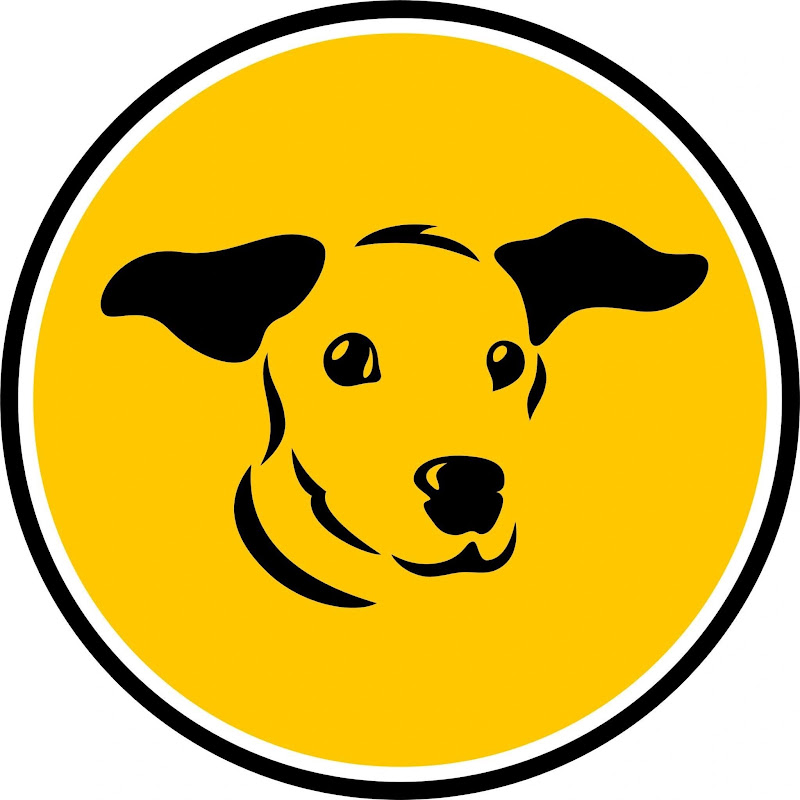 Dogs Trust Ireland