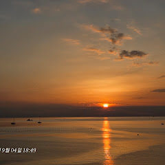 빵구마 