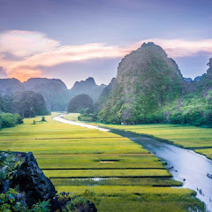 Nam Roams
