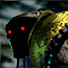 4F4NvJXRLTQ-channel-avatar-ZOONAK