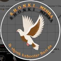 S_h_o_n_k_i___MEHRA