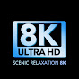 Scenic Relaxation 8K Avatar